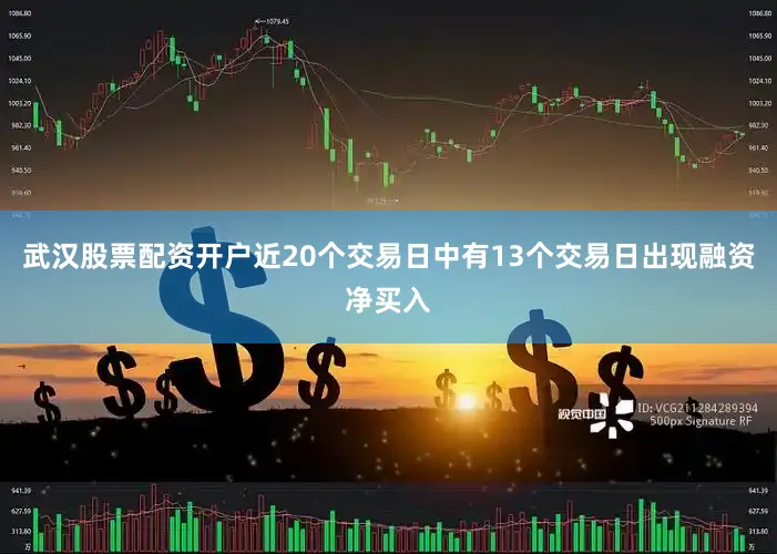 武汉股票配资开户近20个交易日中有13个交易日出现融资净买入