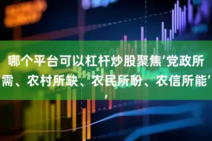 哪个平台可以杠杆炒股聚焦‘党政所需、农村所缺、农民所盼、农信所能’