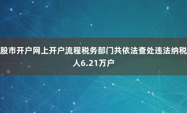 股市开户网上开户流程税务部门共依法查处违法纳税人6.21万户