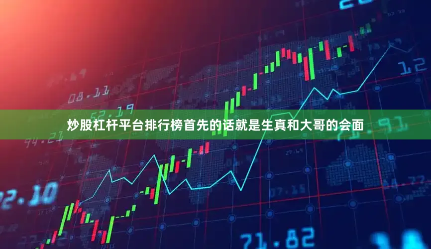 炒股杠杆平台排行榜首先的话就是生真和大哥的会面