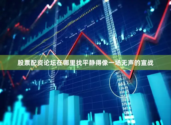 股票配资论坛在哪里找平静得像一场无声的宣战